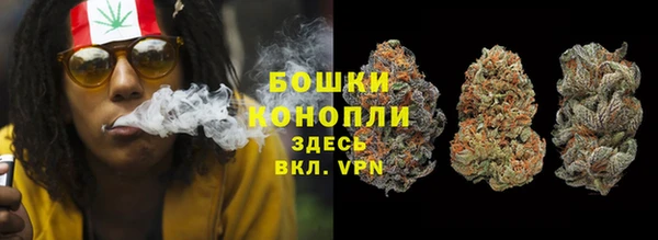 тгк Горно-Алтайск