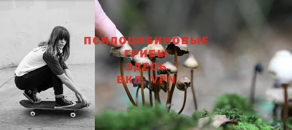 тгк Горно-Алтайск