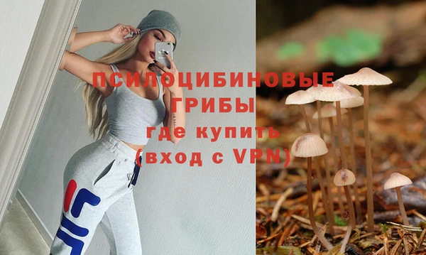 тгк Горно-Алтайск