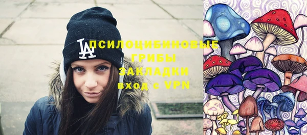 тгк Горно-Алтайск