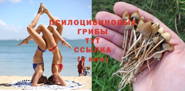 тгк Горно-Алтайск