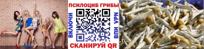 Купить закладки  Саянск  Псилоцибиновые грибы ЛСД 