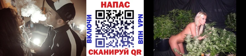 Конопля AK-47  Купить  Саянск 